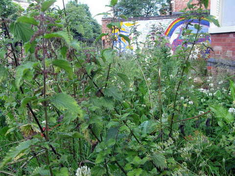 090623_g9_119-medium