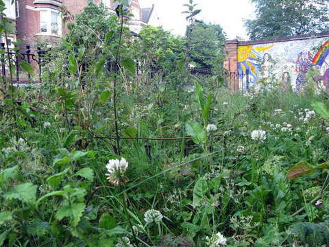 090623_g9_120-medium