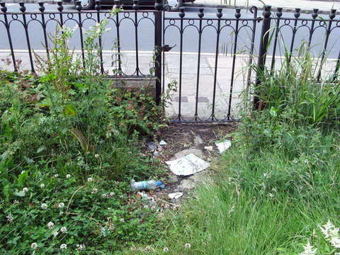 090623_g9_123-medium