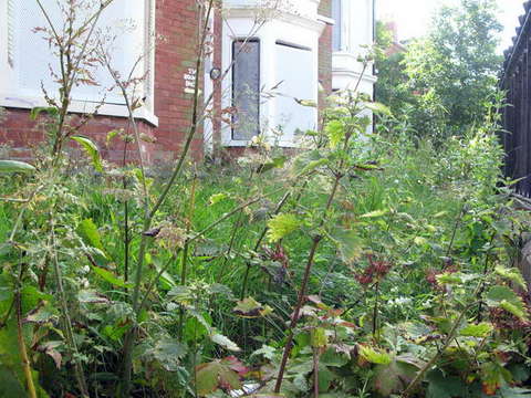 090623_g9_132-medium