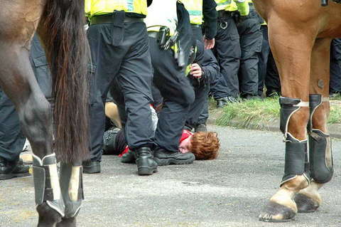 090815_d70_634-medium