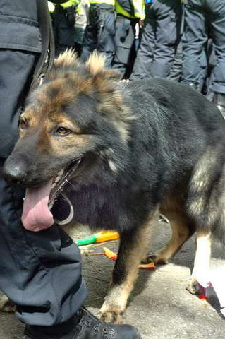 090815_d70_653-medium