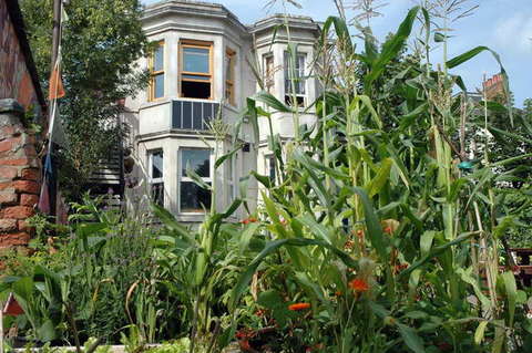 090808_d70_086_-medium