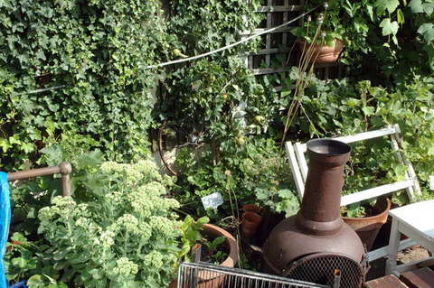 090808_d70_114_-medium