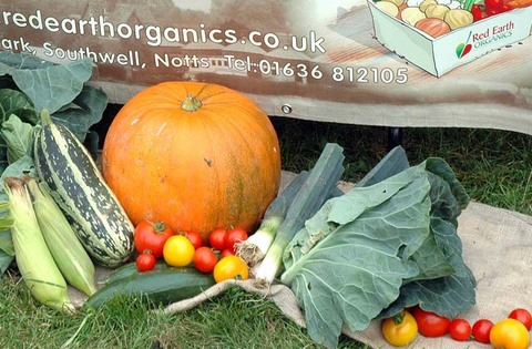 090927_d70_049-medium