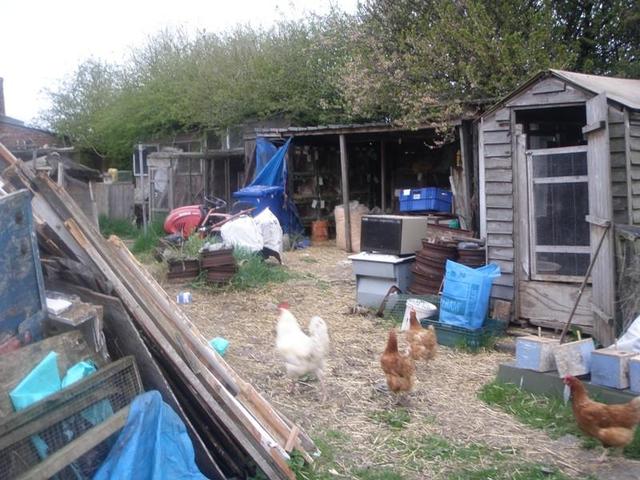 The_location_with_hens-medium