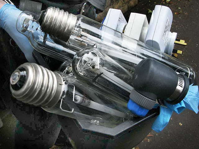 100718_g9_068-medium