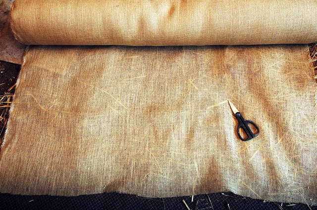 100720_d70_115-medium