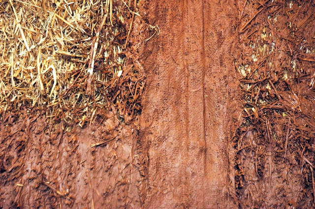 100720_d70_137-medium