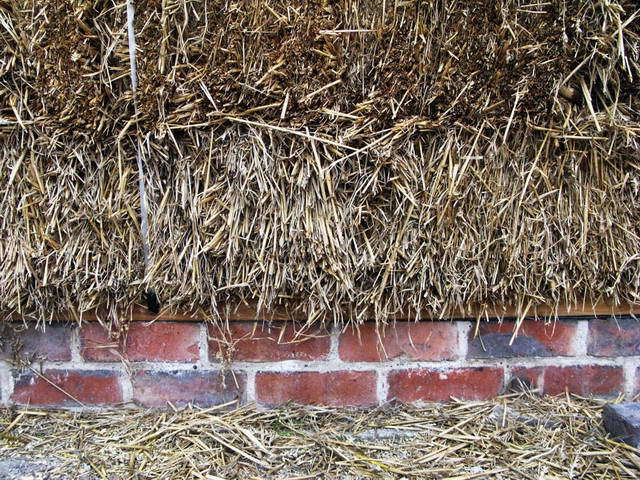 100726_g9_037-medium