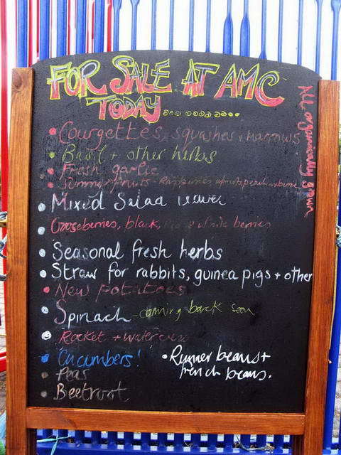 100726_g9_067-medium