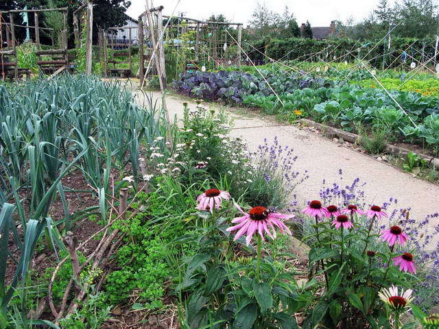 100726_g9_075-medium