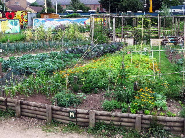 100726_g9_089-medium