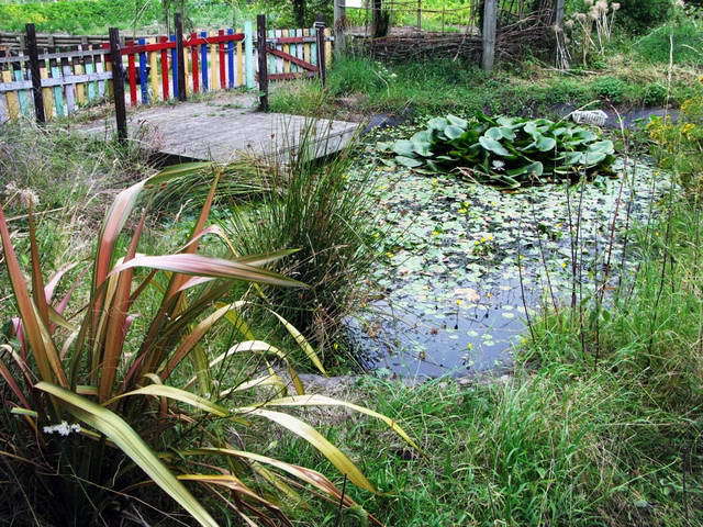 100726_g9_098-medium