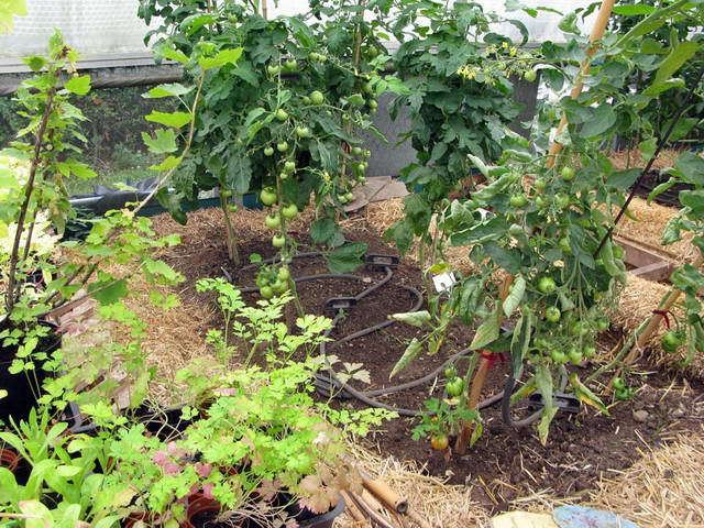 100726_g9_119-medium