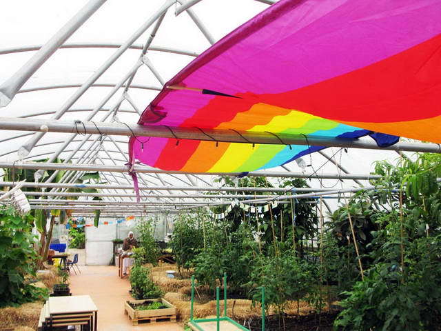 100726_g9_150-medium