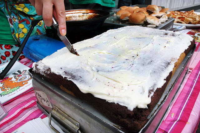 100730_d70_031-medium