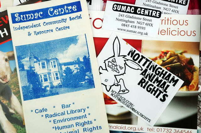 100730_d70_067-medium