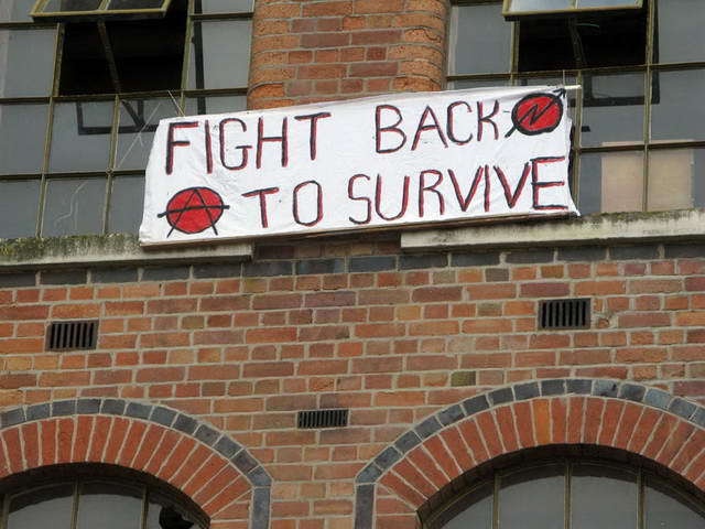 100803_g9_033-medium