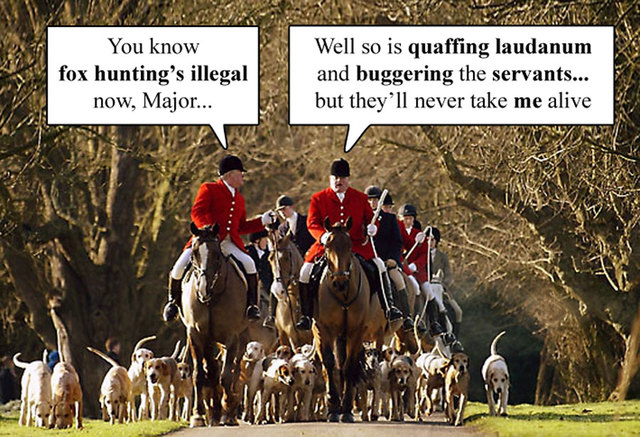 Fox-hunting-medium