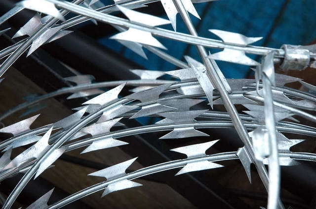 100906_d70_016-medium