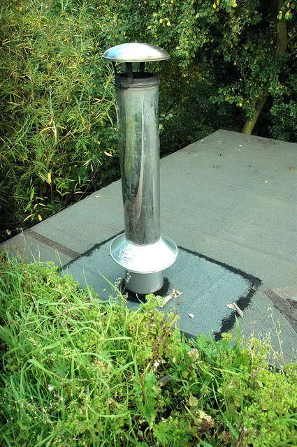 101007_d70_010-medium