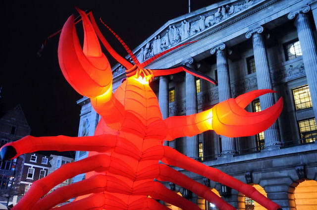 110218_d300s_277-medium