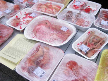 Barquettes_italie-medium