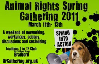 Arspringgathering-medium