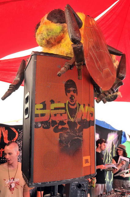 110702_d300s_438-medium