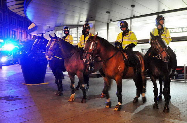 110809_d300s_124-medium