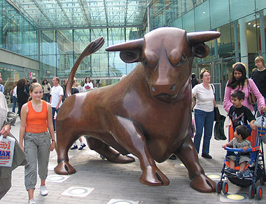 Birmingham_bull-medium