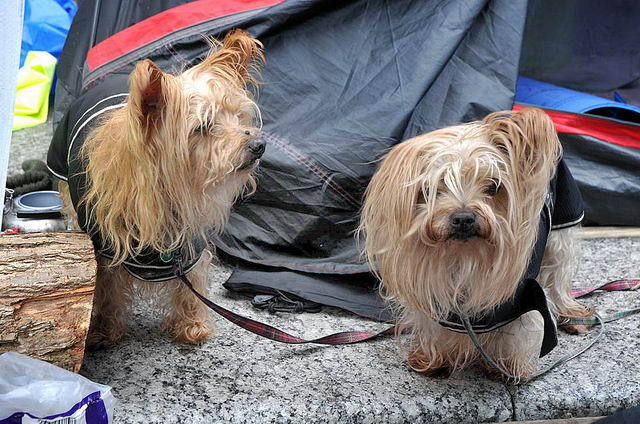 111029_d300s_039-medium