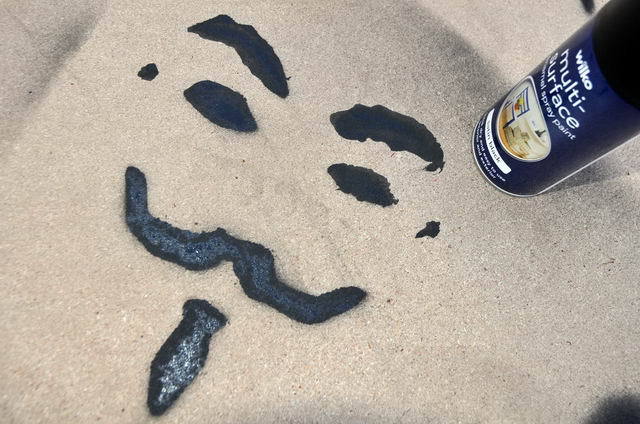 111118_d300s_043-medium