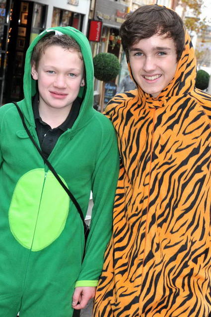 111130_d300s_376-medium