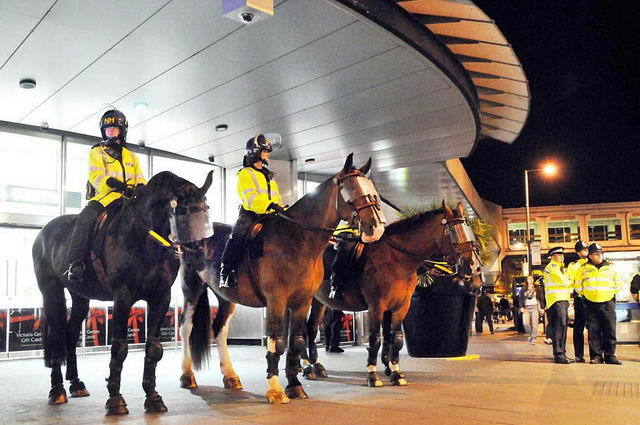 110809_d300s_122-medium