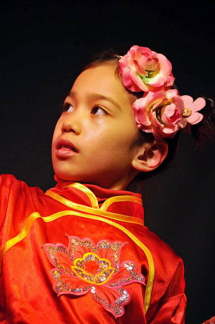 120129_d300s_104-medium