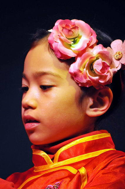 120129_d300s_124-medium