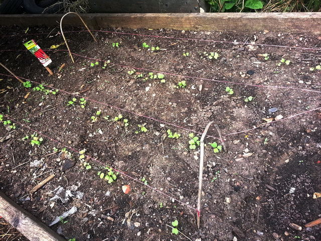 120808_gs3_019-medium