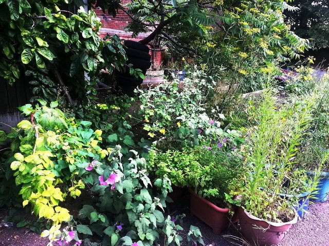 120808_gs3_025-medium