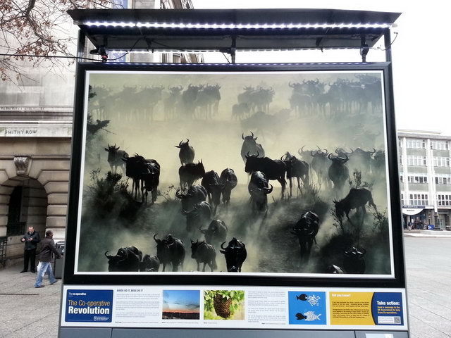 130117_gs3_004-medium