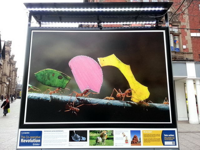 130117_gs3_006-medium