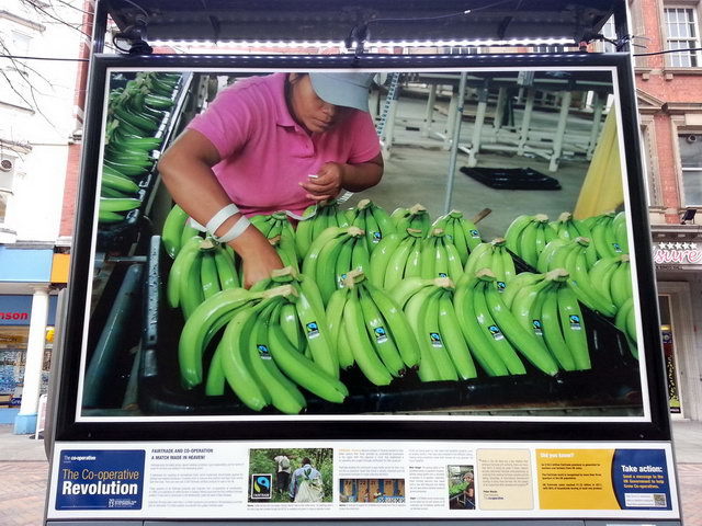 130117_gs3_013-medium