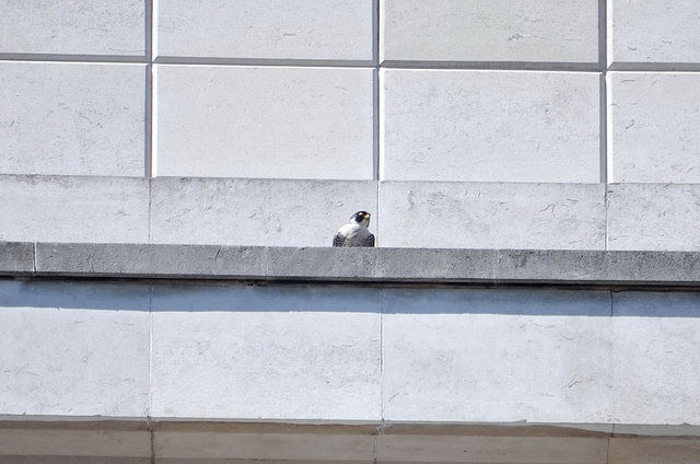 120525_d300s_004-medium