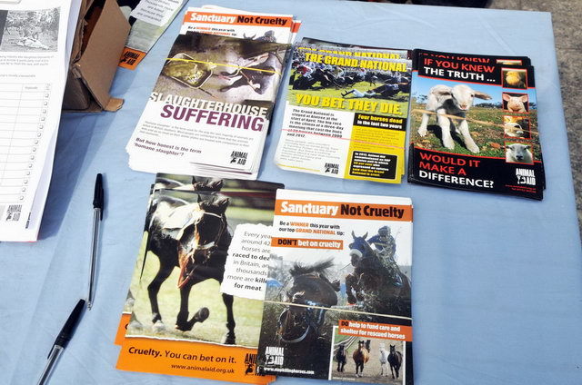 130406_d300s_010-medium