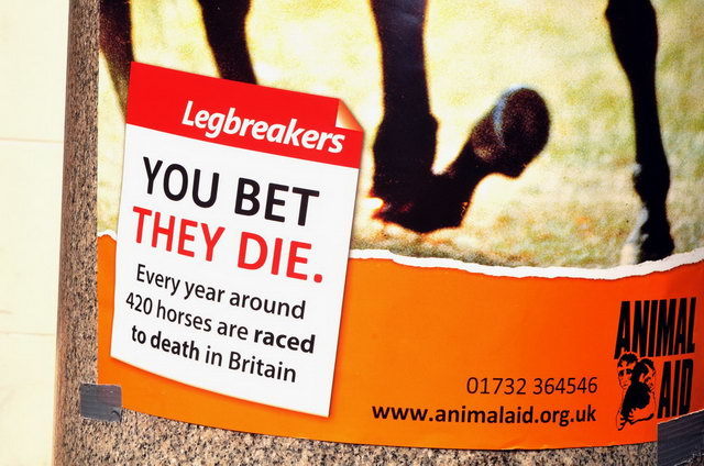 130406_d300s_011-medium