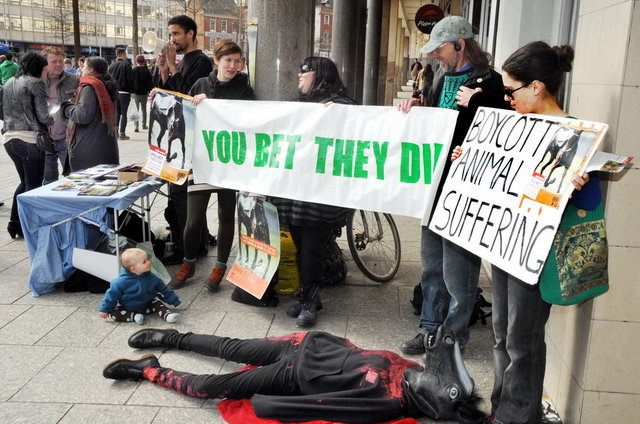 130406_d300s_017-medium