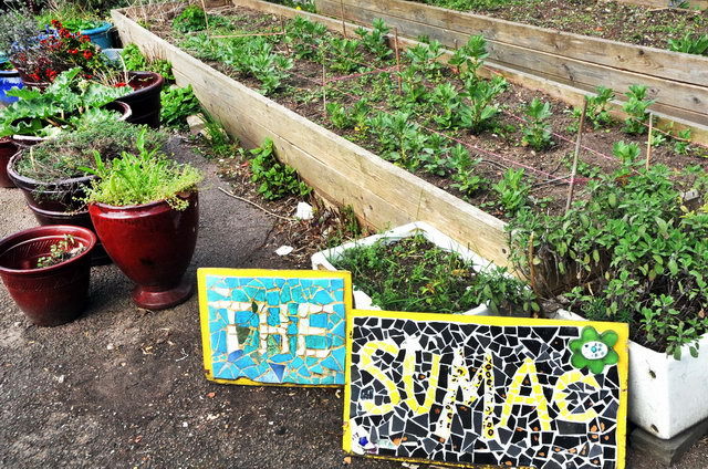 130502_d300s_011-medium