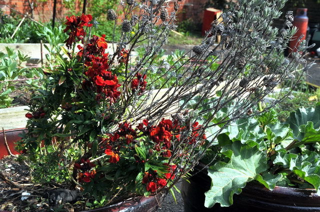 130502_d300s_020-medium