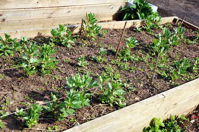 130502_d300s_022-medium